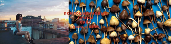 марки nbome Абаза