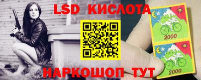 дживик Берёзовский